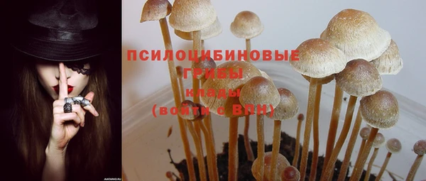 тгк Балабаново