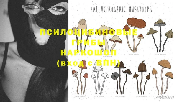 тгк Балабаново
